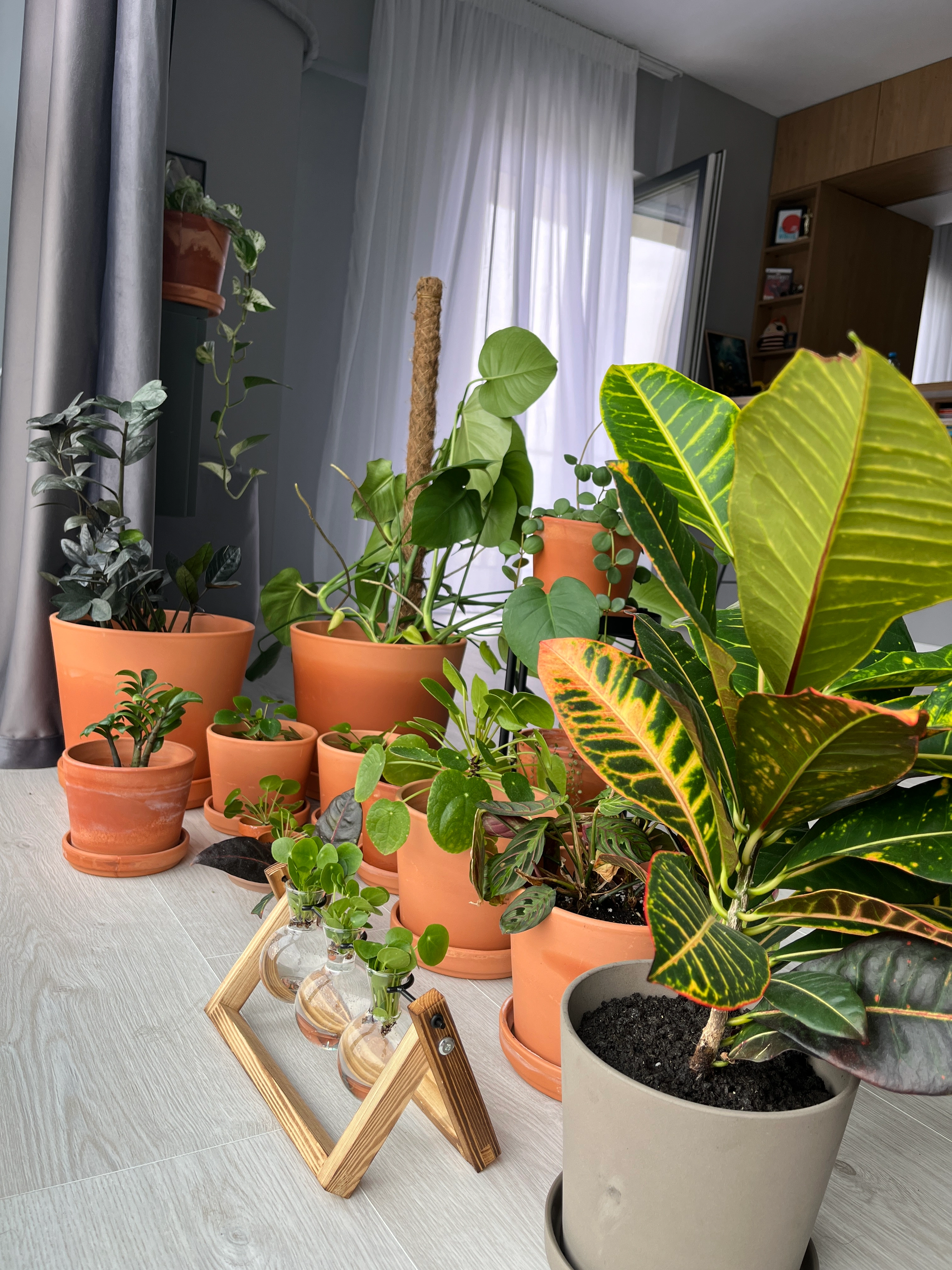 Many different plants